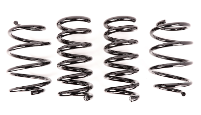 Aldan Performance - Lowering Springs, AXS Kit. Front and Rear. Ford, Set of 4. Black.