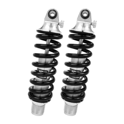 Aldan Performance - Coil-Over Kit, Dodge Viper. Rear, Pair. Fits 1996-2002 Stock Ride Height