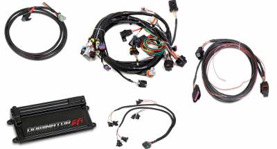 Holley EFI - DOMINATOR EFI KIT - LS1 MAIN HARNESS W/ TRANS AND DBW WITH EV1 INJECTOR HARNESSES
