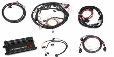 Holley EFI - DOMINATOR EFI KIT - LS2 MAIN HARNESS W/ TRANS AND DBW WITH EV1 INJECTOR HARNESSES