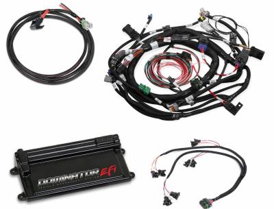 Holley EFI - DOMINATOR EFI KIT - FORD - COP MAIN HARNESS - WITH COIL ON PLUG MAIN AND SUB HARNESS WITH EV1 INJECTOR HARNESS