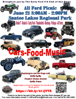 All Ford Picnic