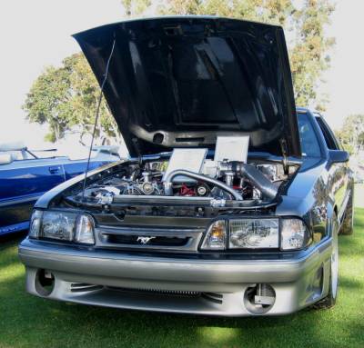 Mustangs by the Bay   October 2, 2011 Cover