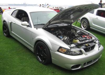 2010 Mustangs by the Bay Cover