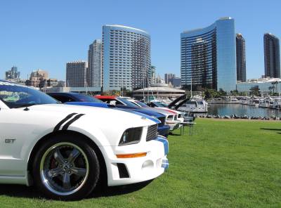 Mustangs by the Bay 2014 Cover