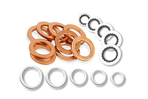 Earl's Performance Plumbing - Seals - Washers