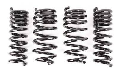 Lowering Springs, AXS Kit. Front and Rear. Dodge, Set of 4. Black.