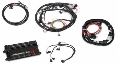DOMINATOR EFI KIT - LS2 MAIN HARNESS W/ TRANS CONTROL WITH EV1 INJECTOR HARNESSES