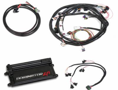 Holley EFI - DOMINATOR EFI KIT - FORD MAIN HARNESS WITH EV1 INJECTOR HARNESS
