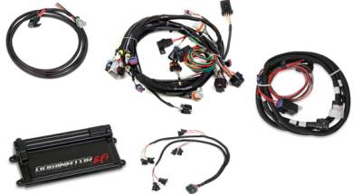 Holley EFI - DOMINATOR EFI KIT - LS1 MAIN HARNESS W/ TRANS CONTROL WITH EV1 INJECTOR HARNESSES