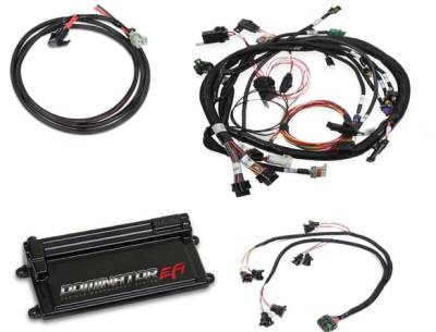 Holley EFI - DOMINATOR EFI KIT - UNIVERSAL - COP MAIN HARNESS - WITH COIL ON PLUG MAIN AND SUB HARNESS WITH EV1 INJECTOR HARNESS